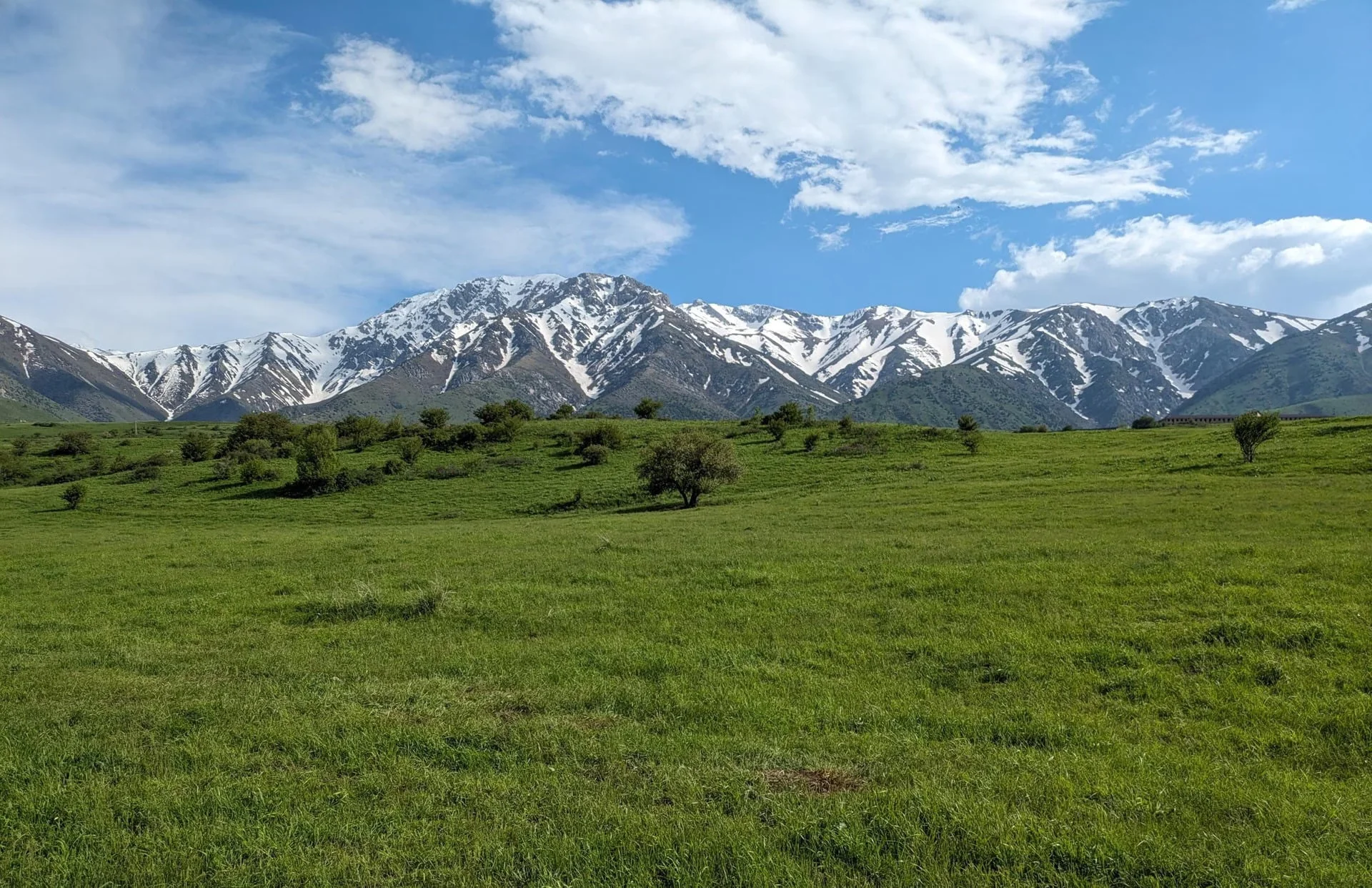 La Réserve Naturelle d'Aksu-Zhabagyly (Kazakhstan Méridional)