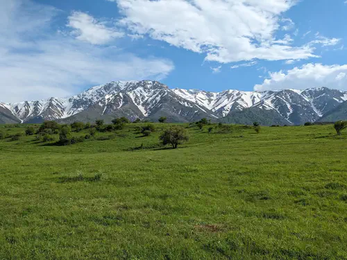 La Réserve Naturelle d'Aksu-Zhabagyly (Kazakhstan Méridional)
