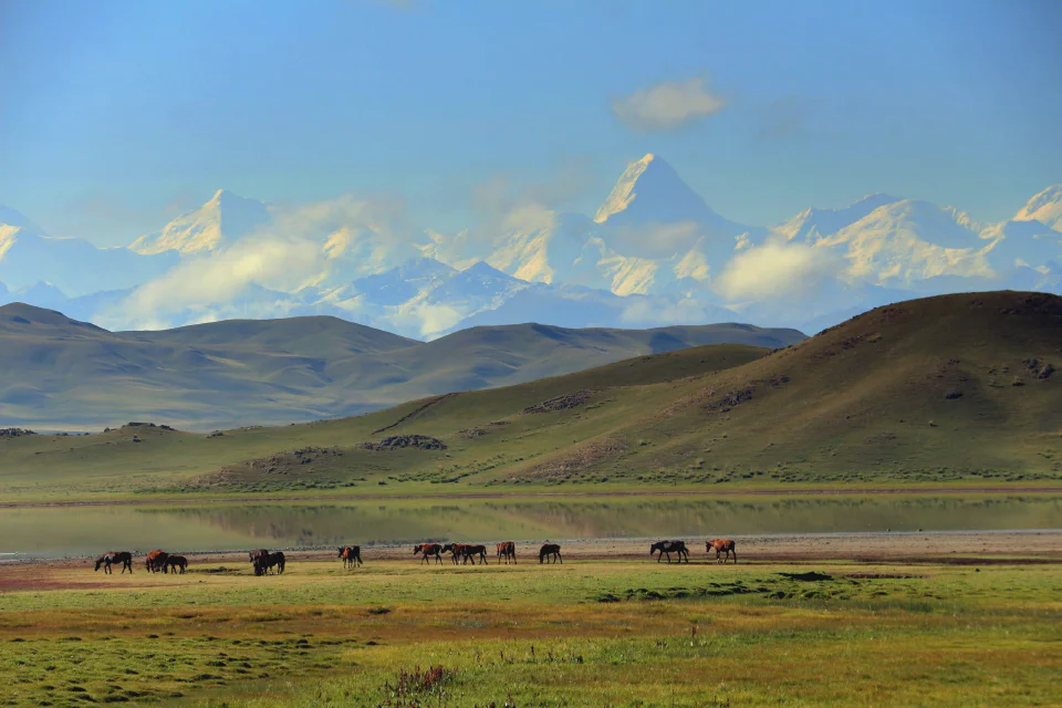ENTRE MONTAGNES ET STEPPES : L’ALMATY OFF-ROAD EN BUGGY