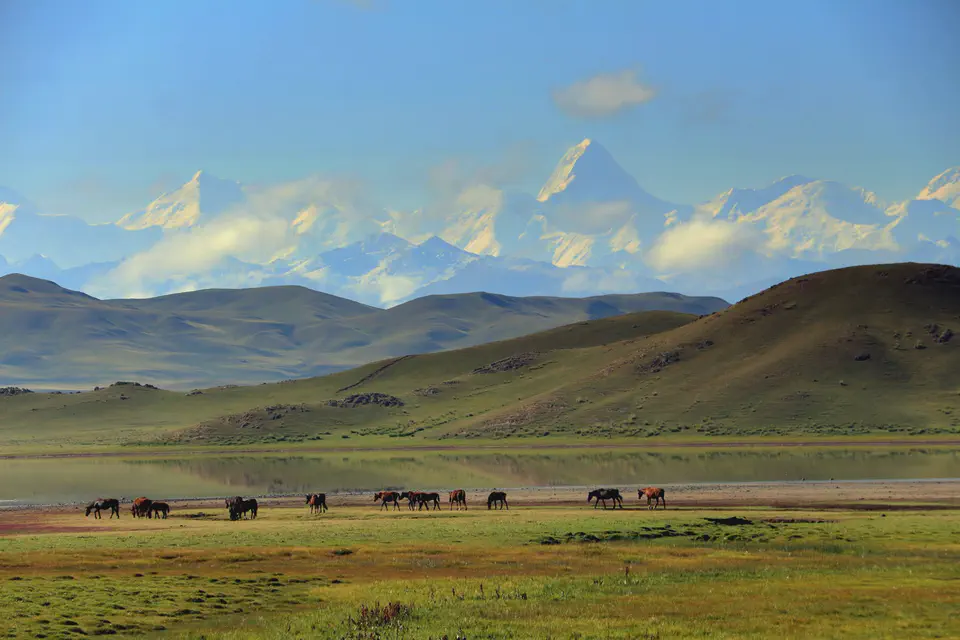 ENTRE MONTAGNES ET STEPPES : L’ALMATY OFF-ROAD EN BUGGY