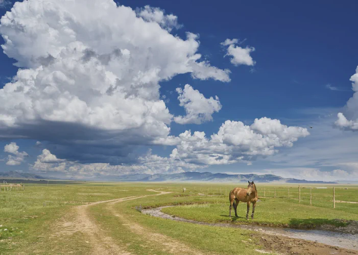 Nomadistan circuit photo