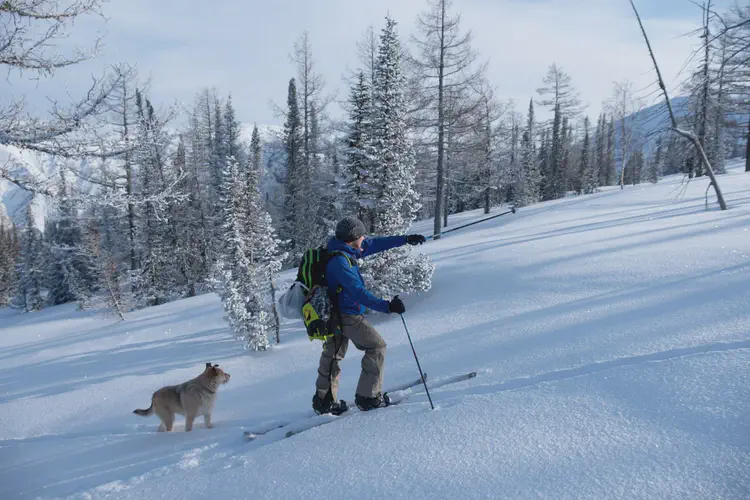 Nomadistan circuit photo