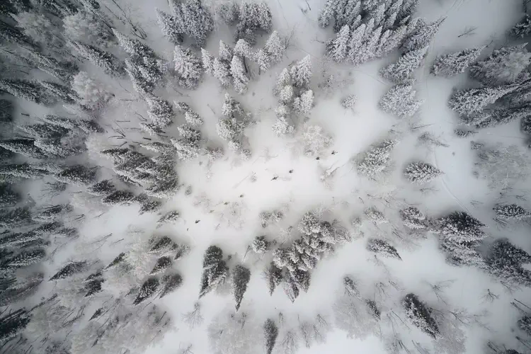 Nomadistan circuit photo