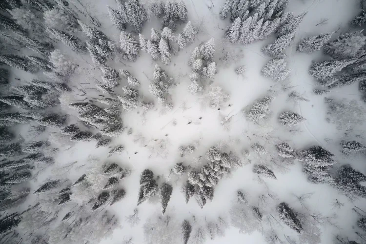 Nomadistan circuit photo