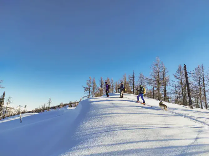 Nomadistan circuit photo