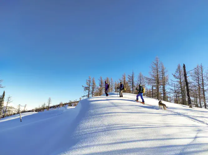 Nomadistan circuit photo