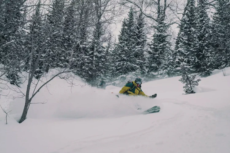 Nomadistan circuit photo