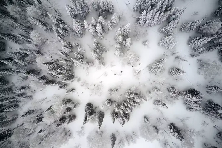 Nomadistan circuit photo