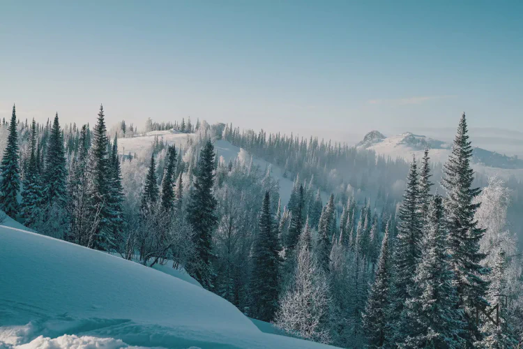 Nomadistan circuit photo