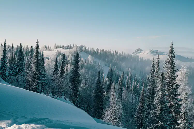 Nomadistan circuit photo