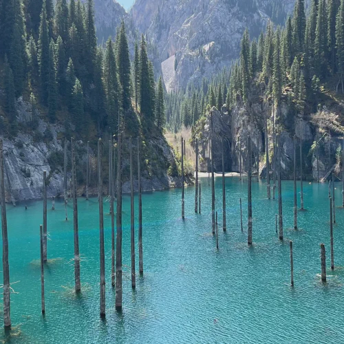 Nomadistan circuit photo