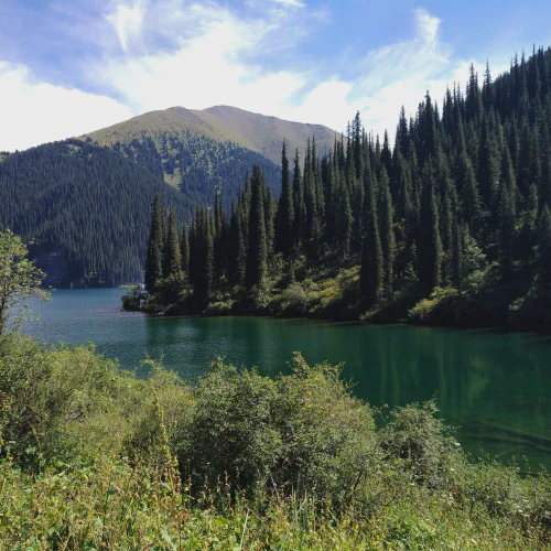 Nomadistan circuit photo