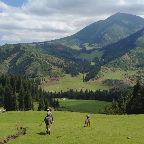 Nomadistan circuit photo