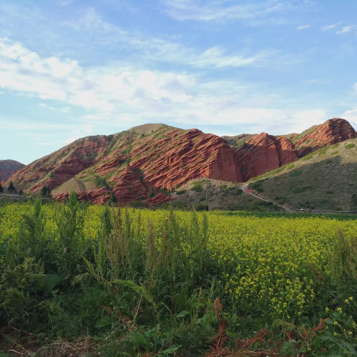 Nomadistan circuit photo