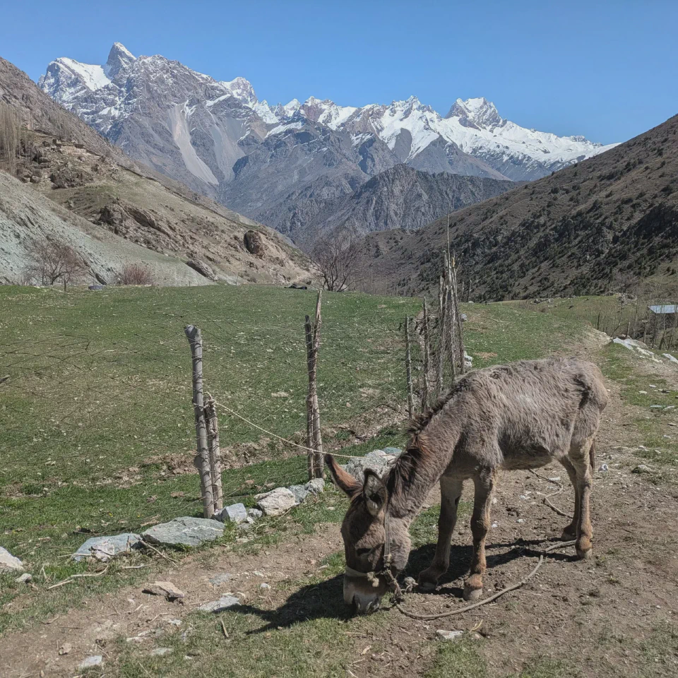 TADJIKISTAN : TREK AUTHENTIQUE AU CŒUR DES MONTS FANN