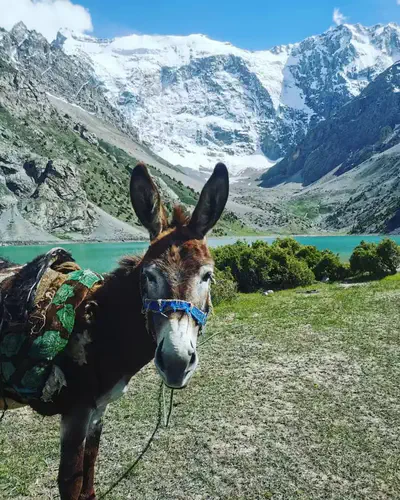 Nomadistan circuit photo