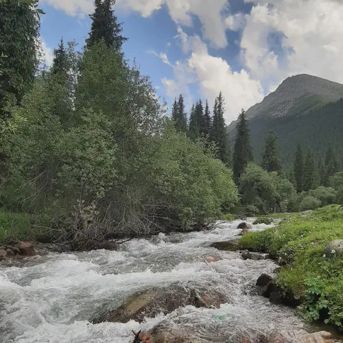 Nomadistan circuit photo