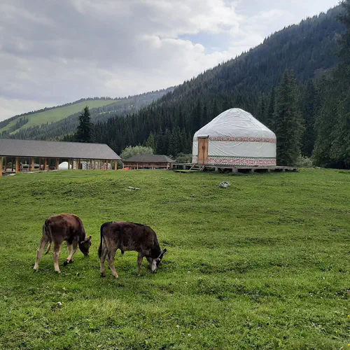 Nomadistan circuit photo
