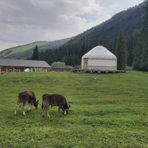 Nomadistan circuit photo