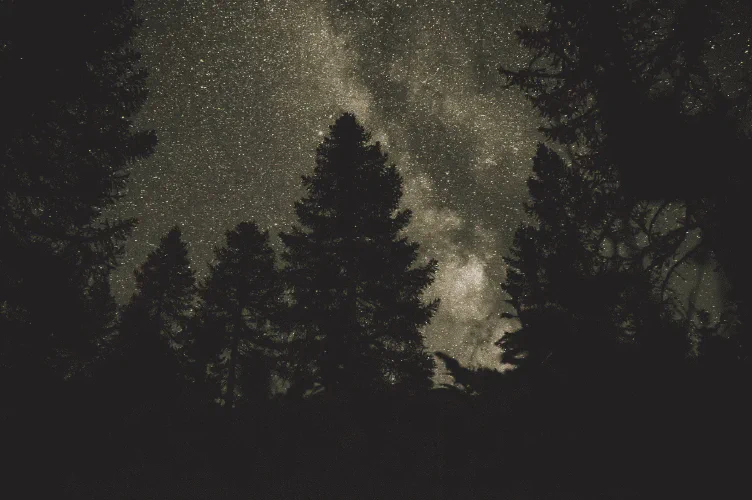 Nomadistan circuit photo