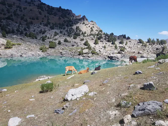 Nomadistan circuit photo