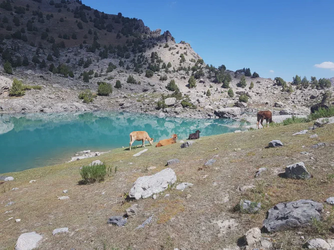 Nomadistan circuit photo