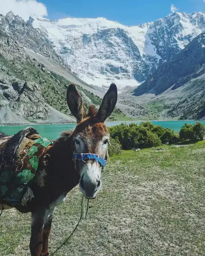 Nomadistan circuit photo